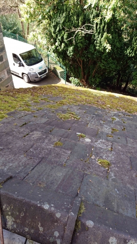 Roof tile cleaning